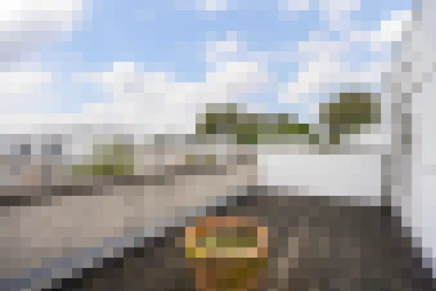 Kastanjedal 10 Maassluis thumbnail 47