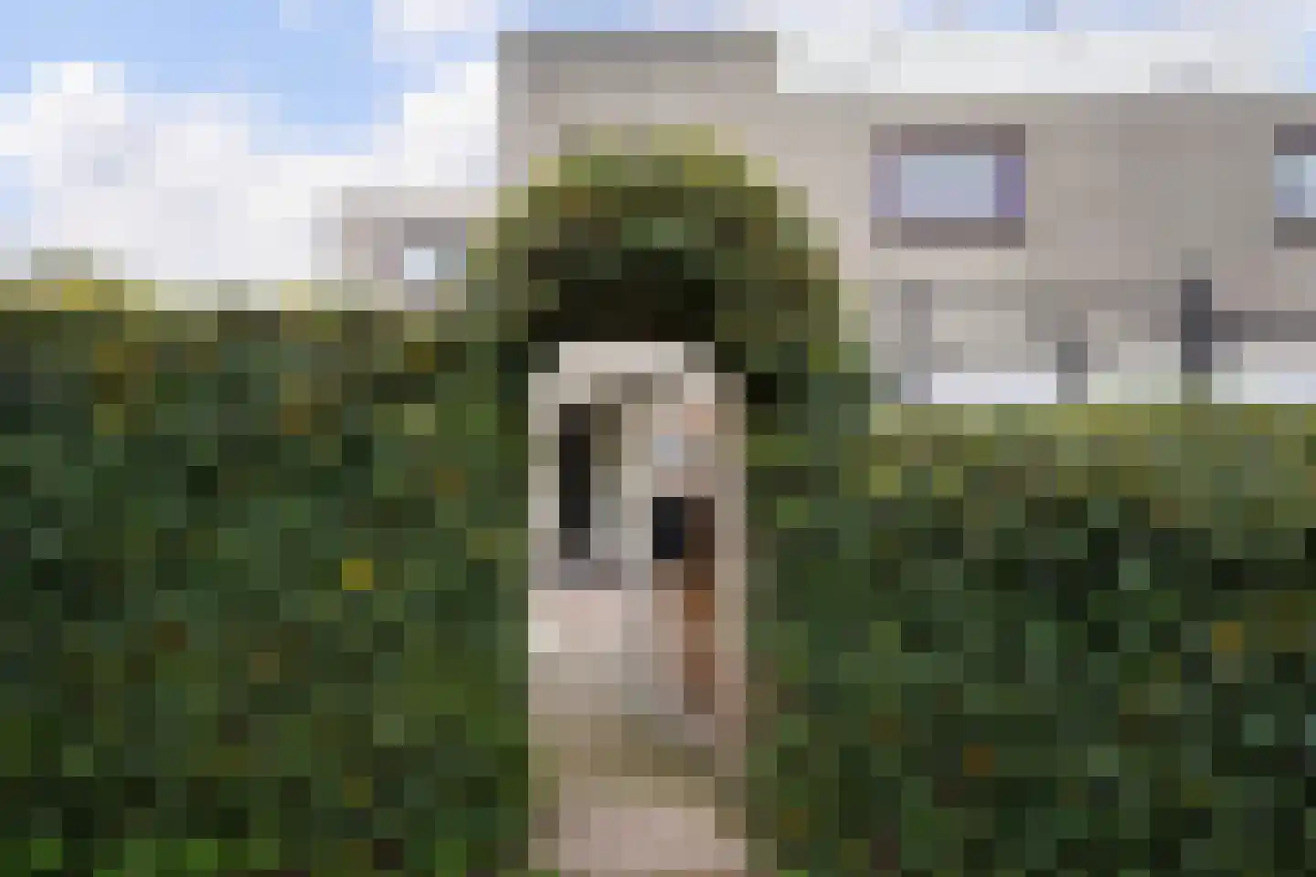 Kastanjedal 10 Maassluis thumbnail 62
