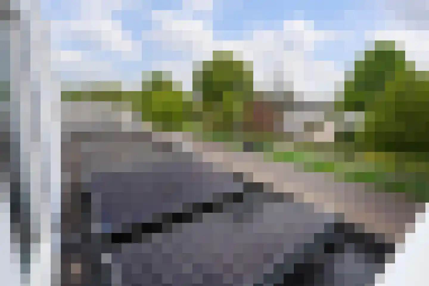 Kastanjedal 10 Maassluis thumbnail 66