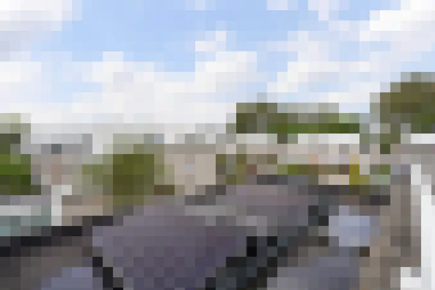 Kastanjedal 10 Maassluis thumbnail 67