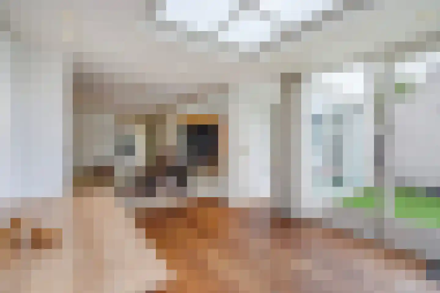 Kastanjedal 10 Maassluis thumbnail 8