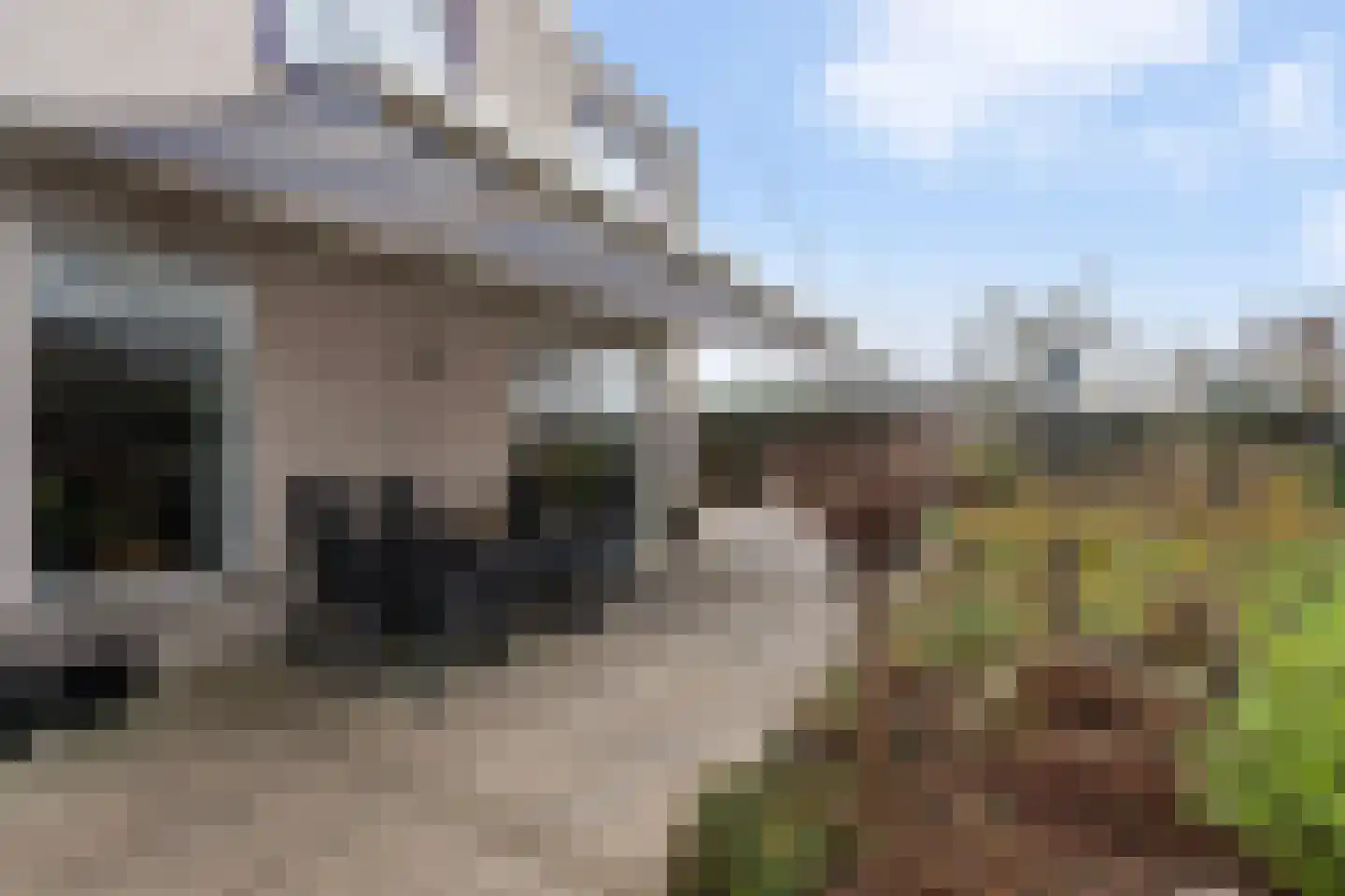 Kastanjedal 36 Maassluis thumbnail 27