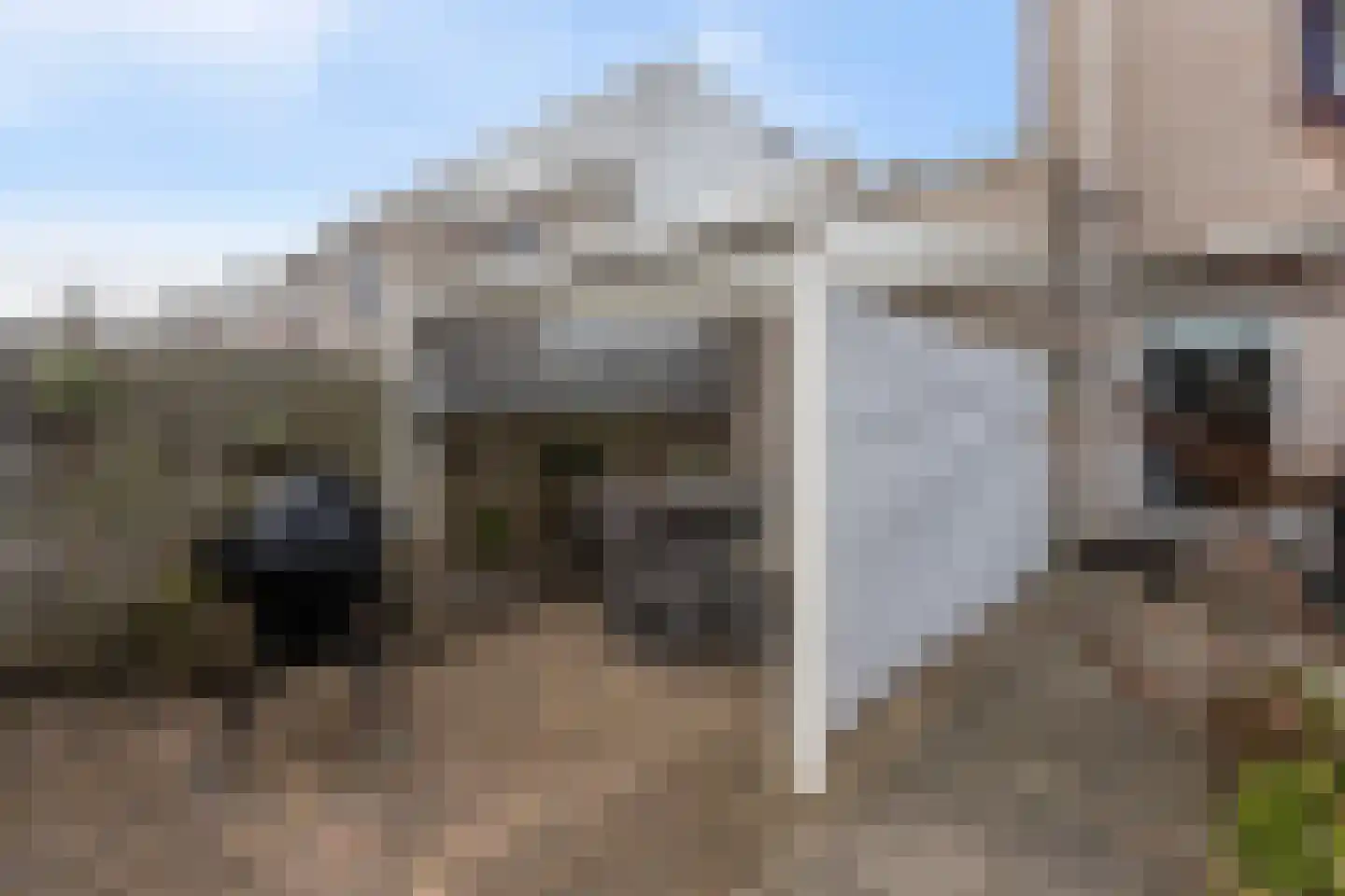 Kastanjedal 36 Maassluis thumbnail 30
