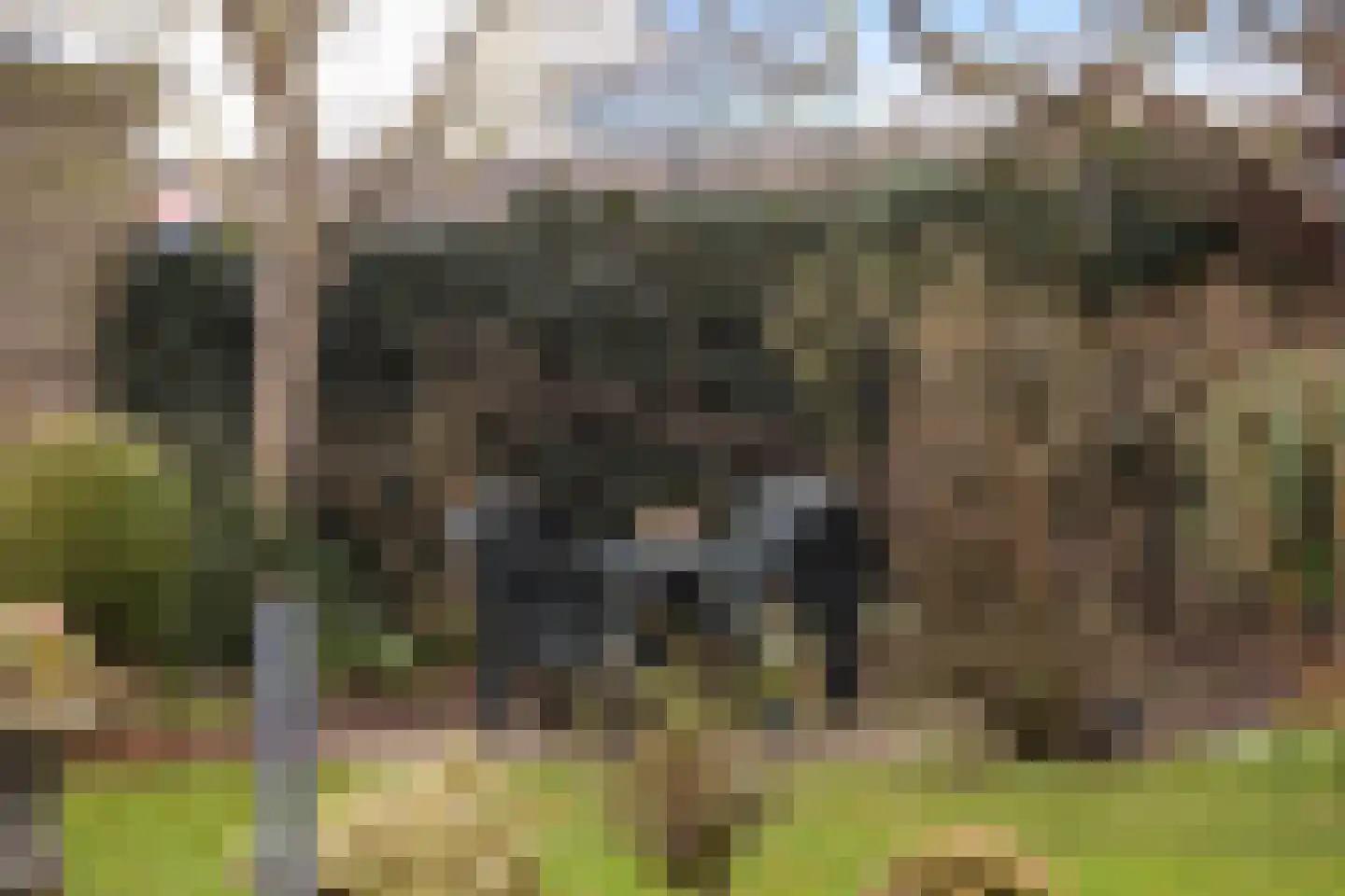 Kastanjedal 36 Maassluis thumbnail 31