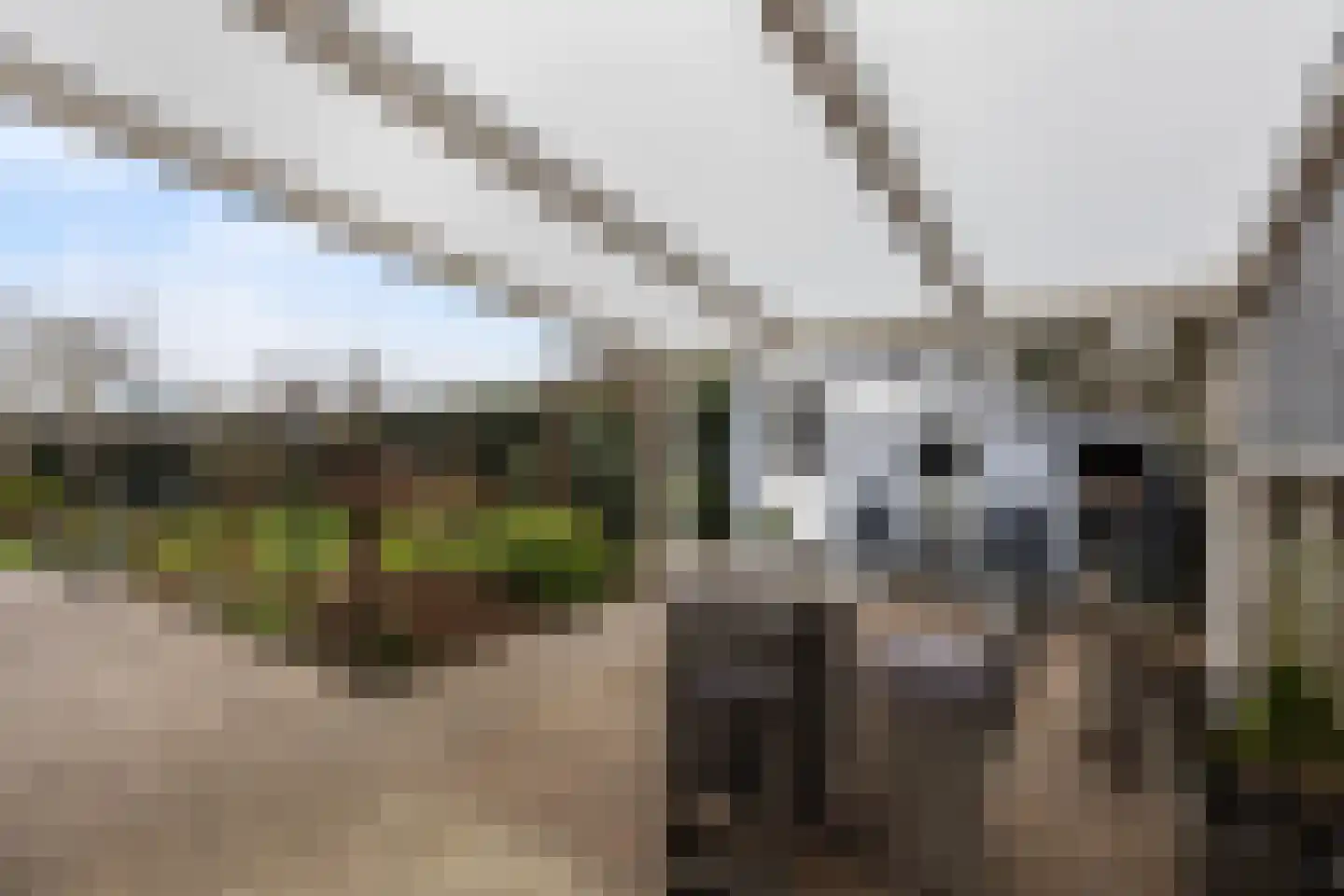 Kastanjedal 36 Maassluis thumbnail 33