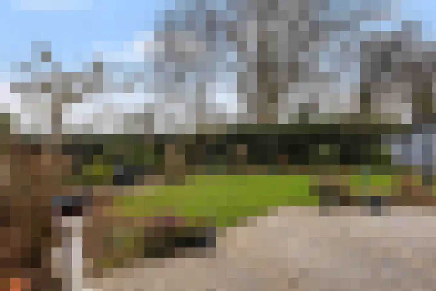 Kastanjedal 36 Maassluis thumbnail 35