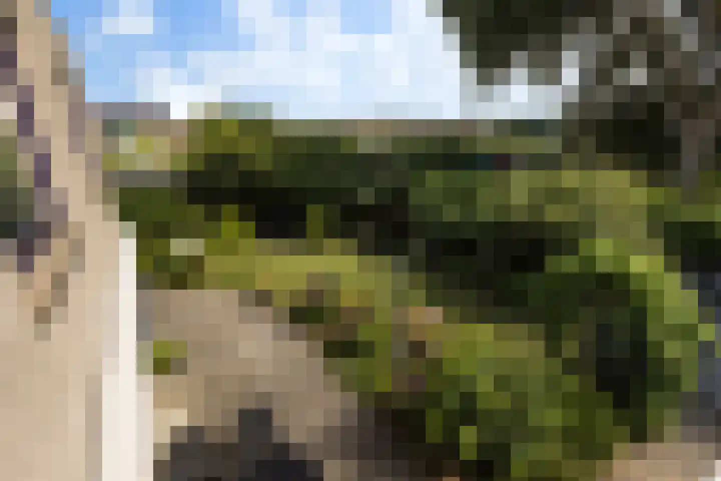 Kastanjedal 36 Maassluis thumbnail 36