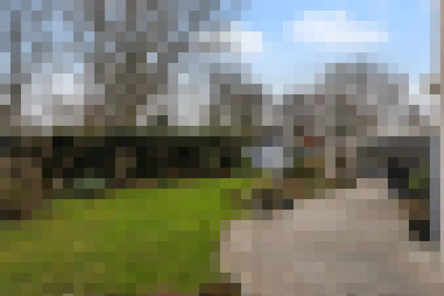 Kastanjedal 36 Maassluis thumbnail 36