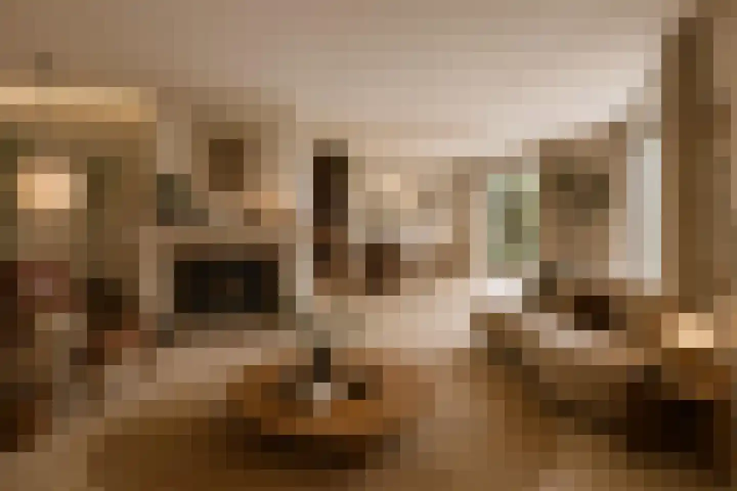 Kastanjedal 36 Maassluis thumbnail 4