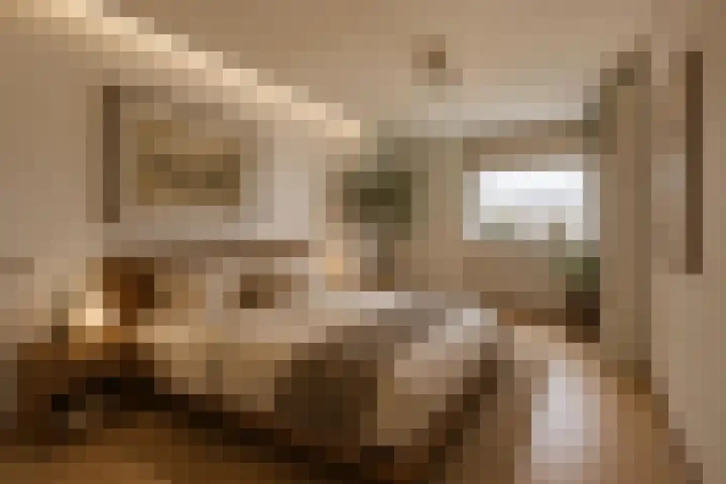 Kastanjedal 36 Maassluis thumbnail 41