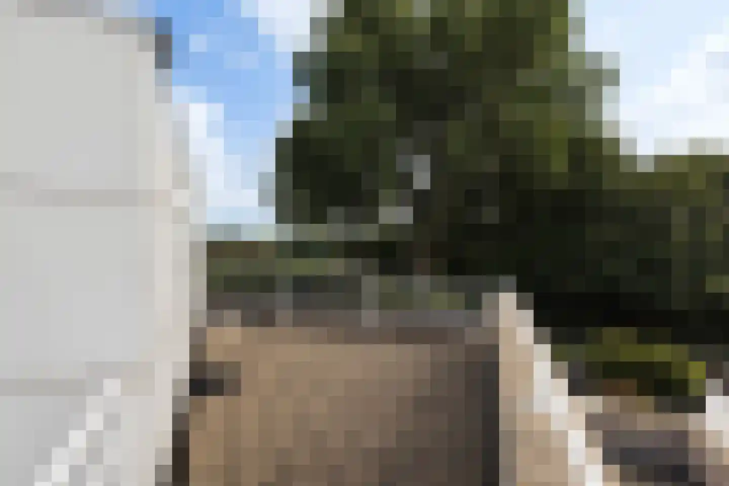 Kastanjedal 36 Maassluis thumbnail 42