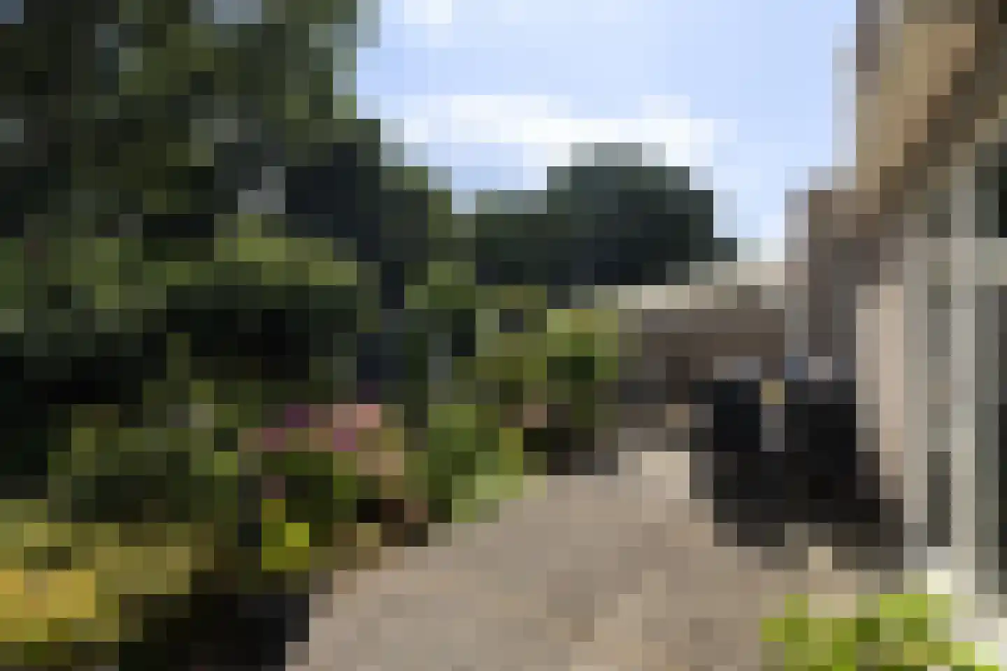 Kastanjedal 36 Maassluis thumbnail 49