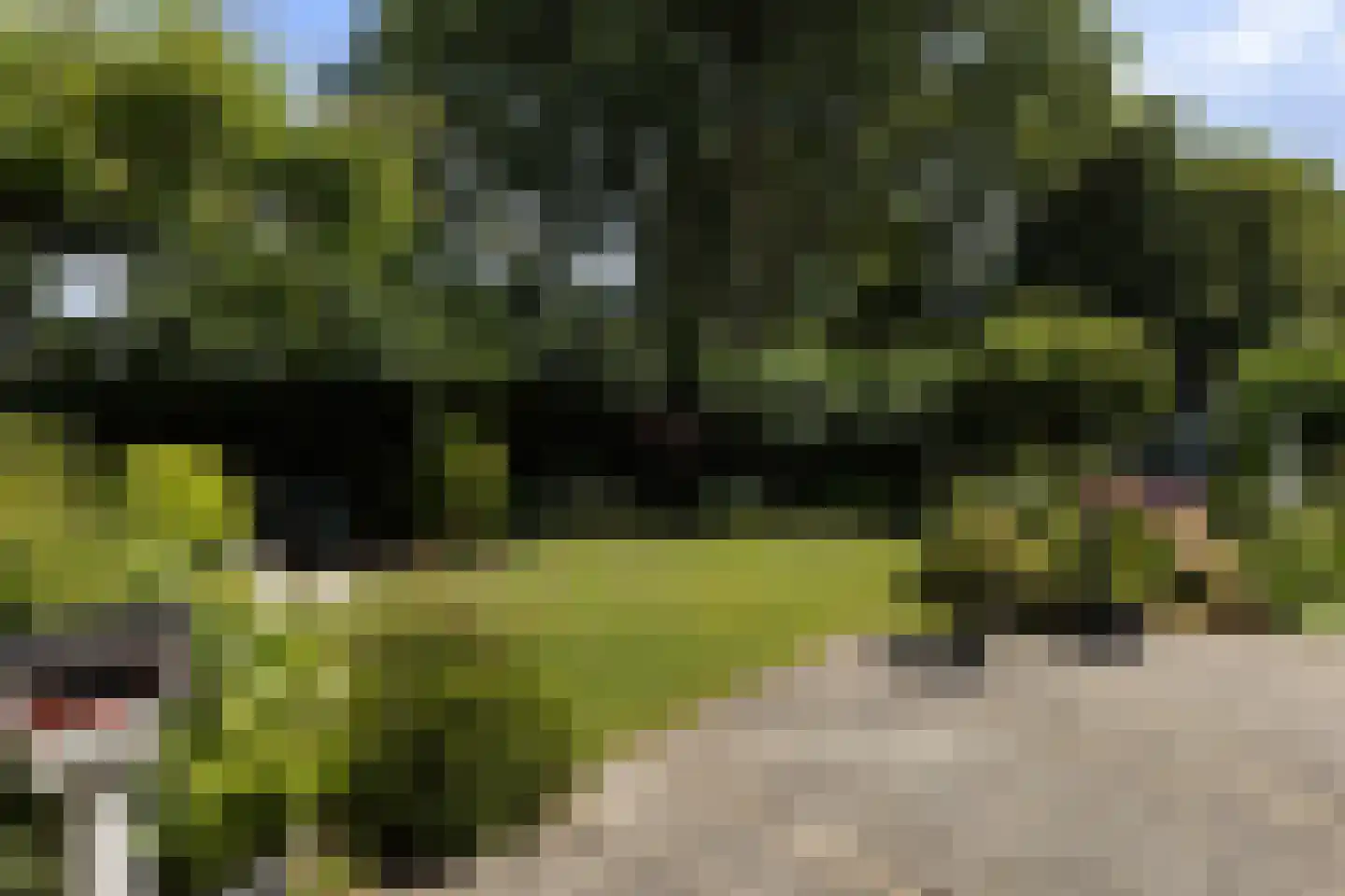 Kastanjedal 36 Maassluis thumbnail 53