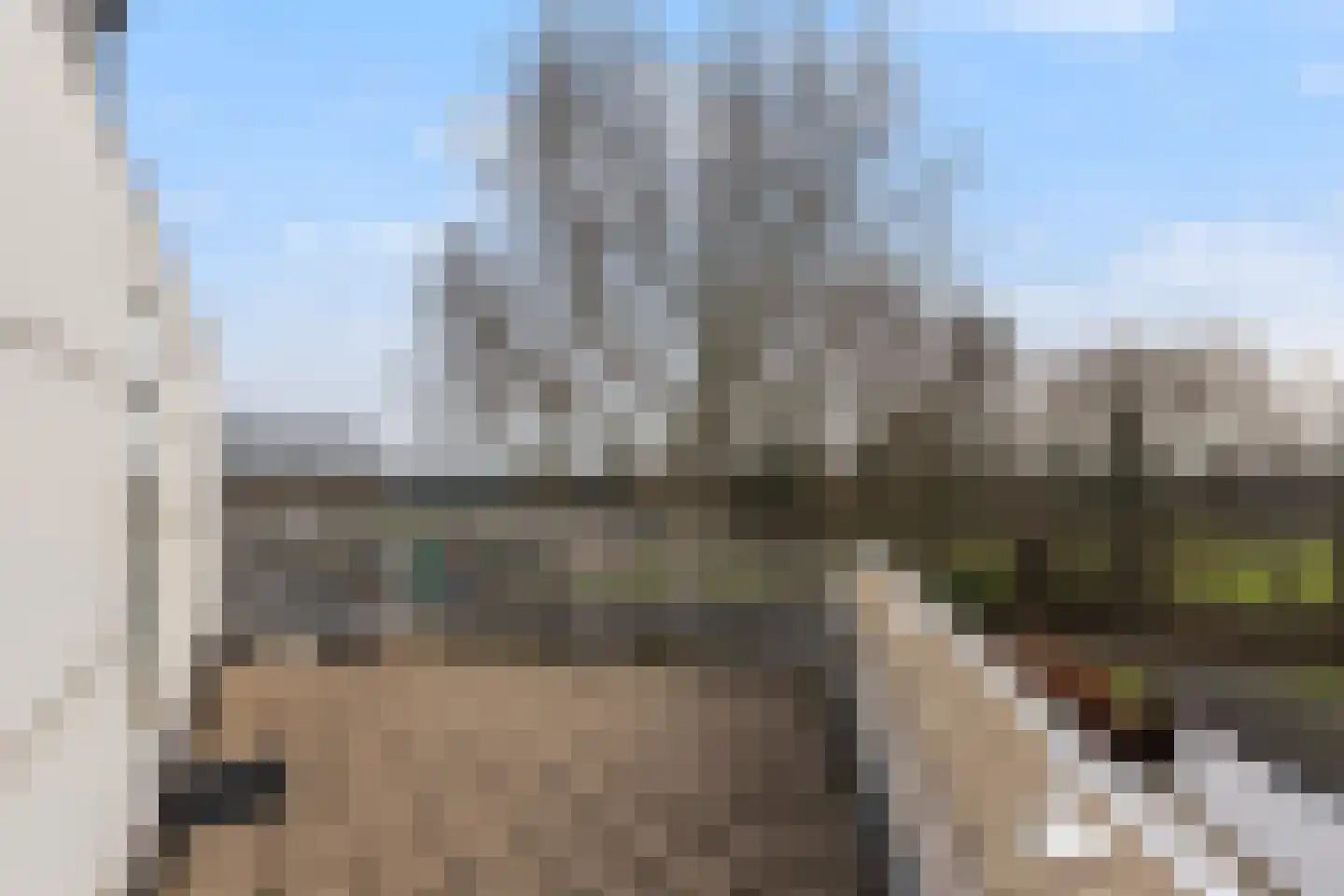 Kastanjedal 36 Maassluis thumbnail 54