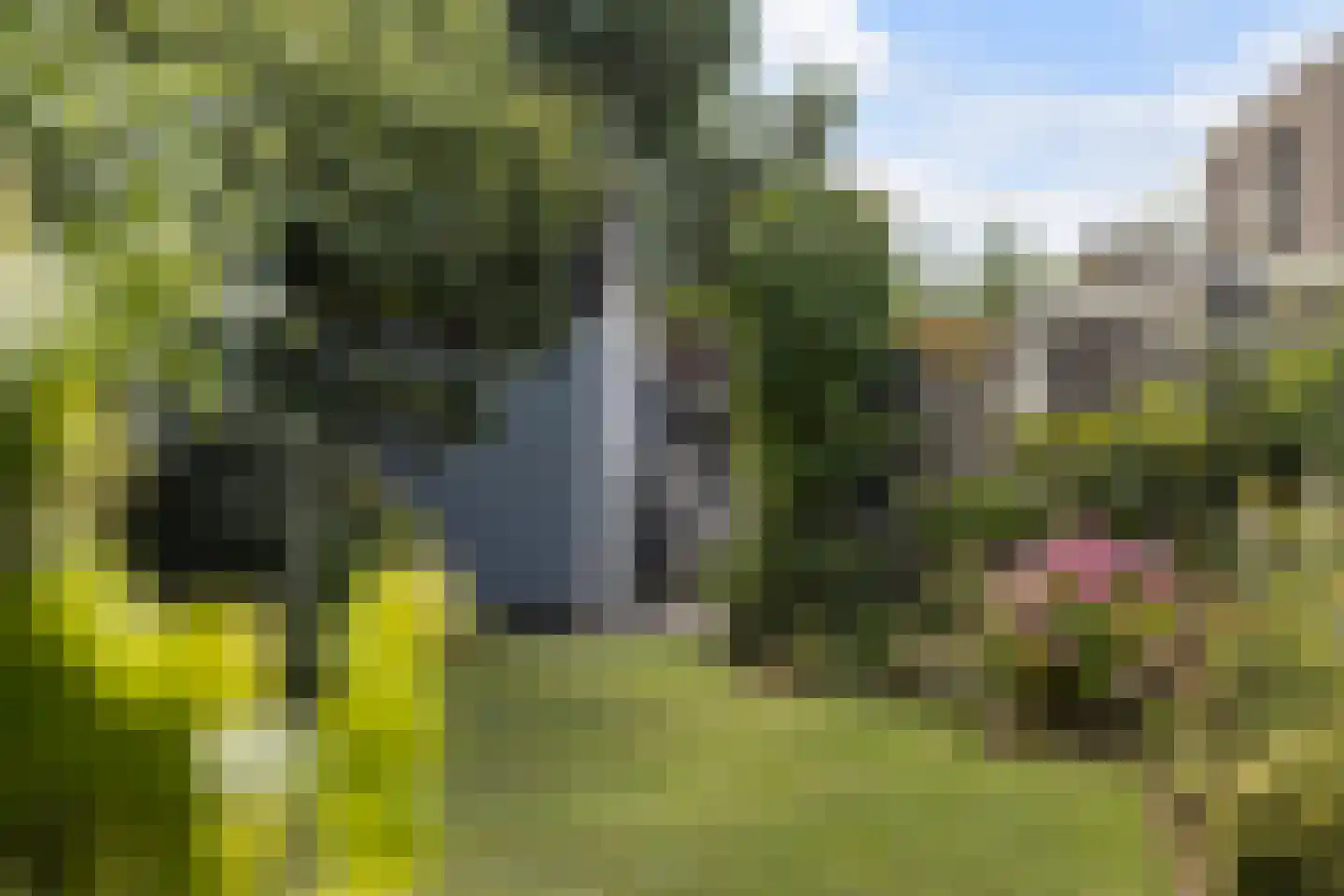 Kastanjedal 36 Maassluis thumbnail 54