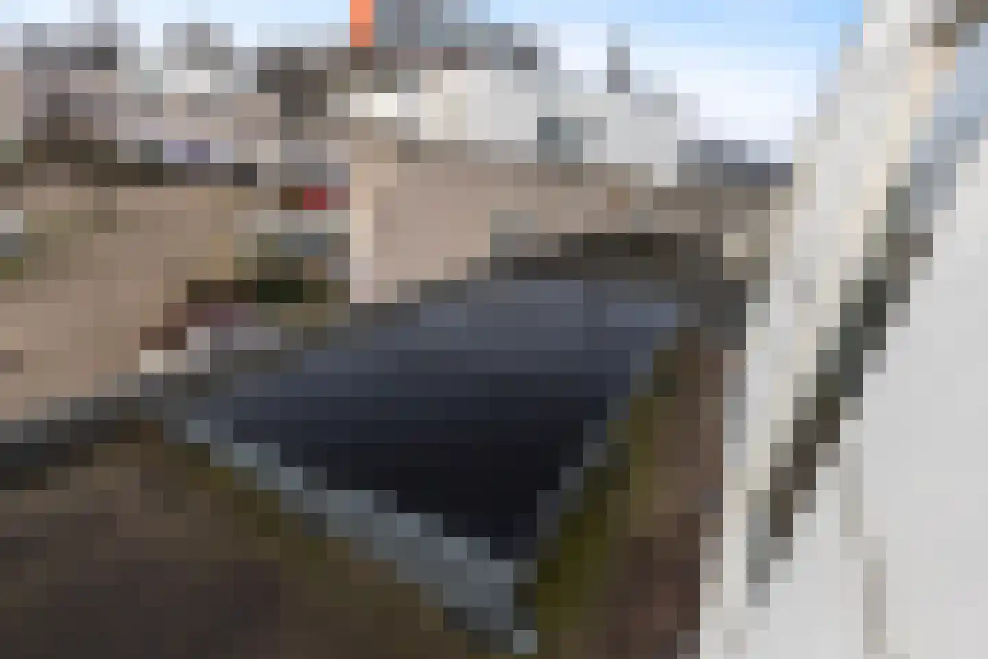 Kastanjedal 36 Maassluis thumbnail 55
