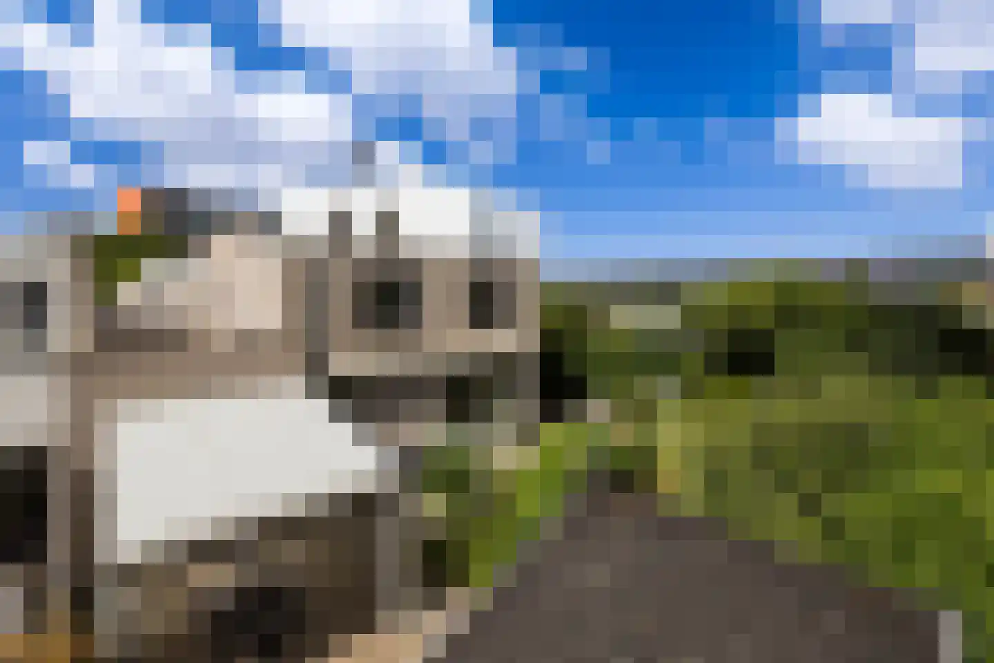 Kastanjedal 36 Maassluis thumbnail 56