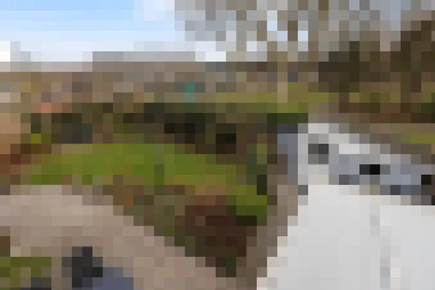 Kastanjedal 36 Maassluis thumbnail 59