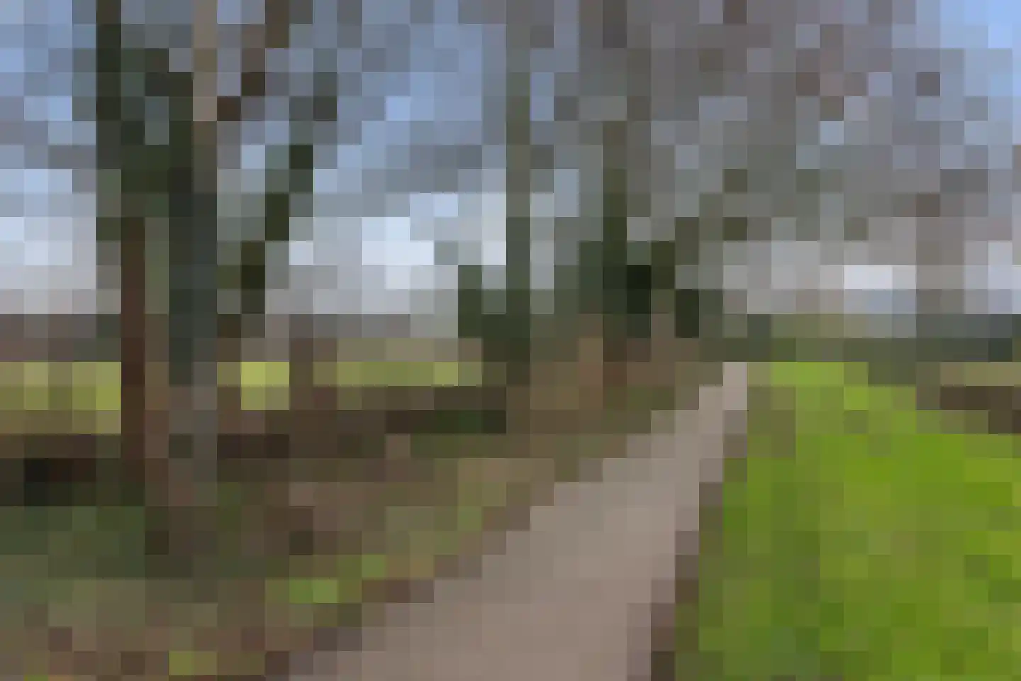 Kastanjedal 36 Maassluis thumbnail 63