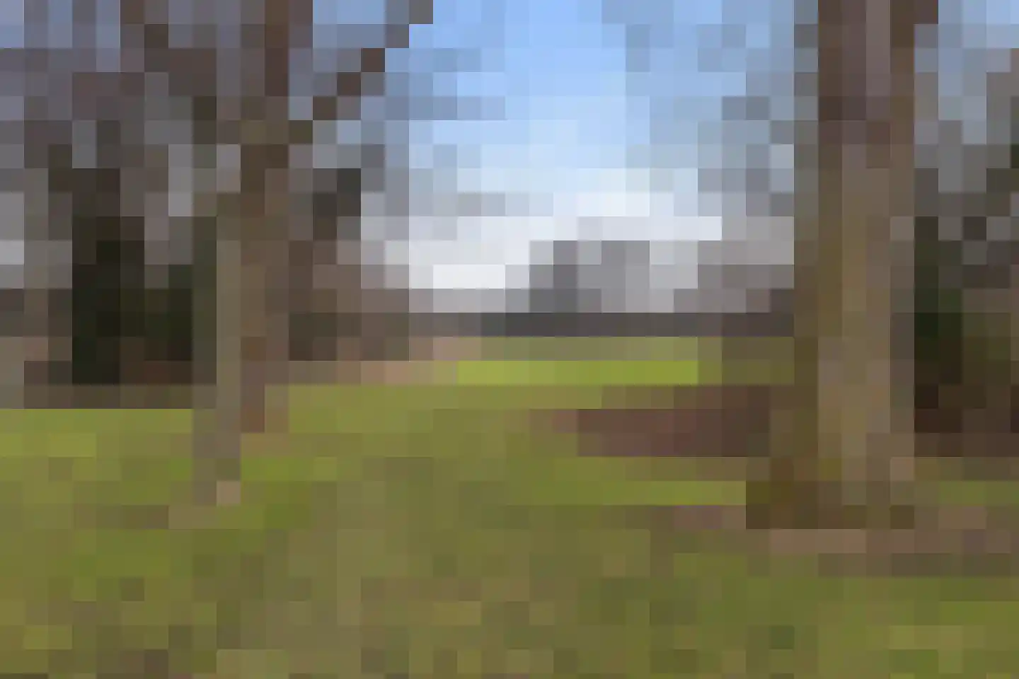 Kastanjedal 36 Maassluis thumbnail 64