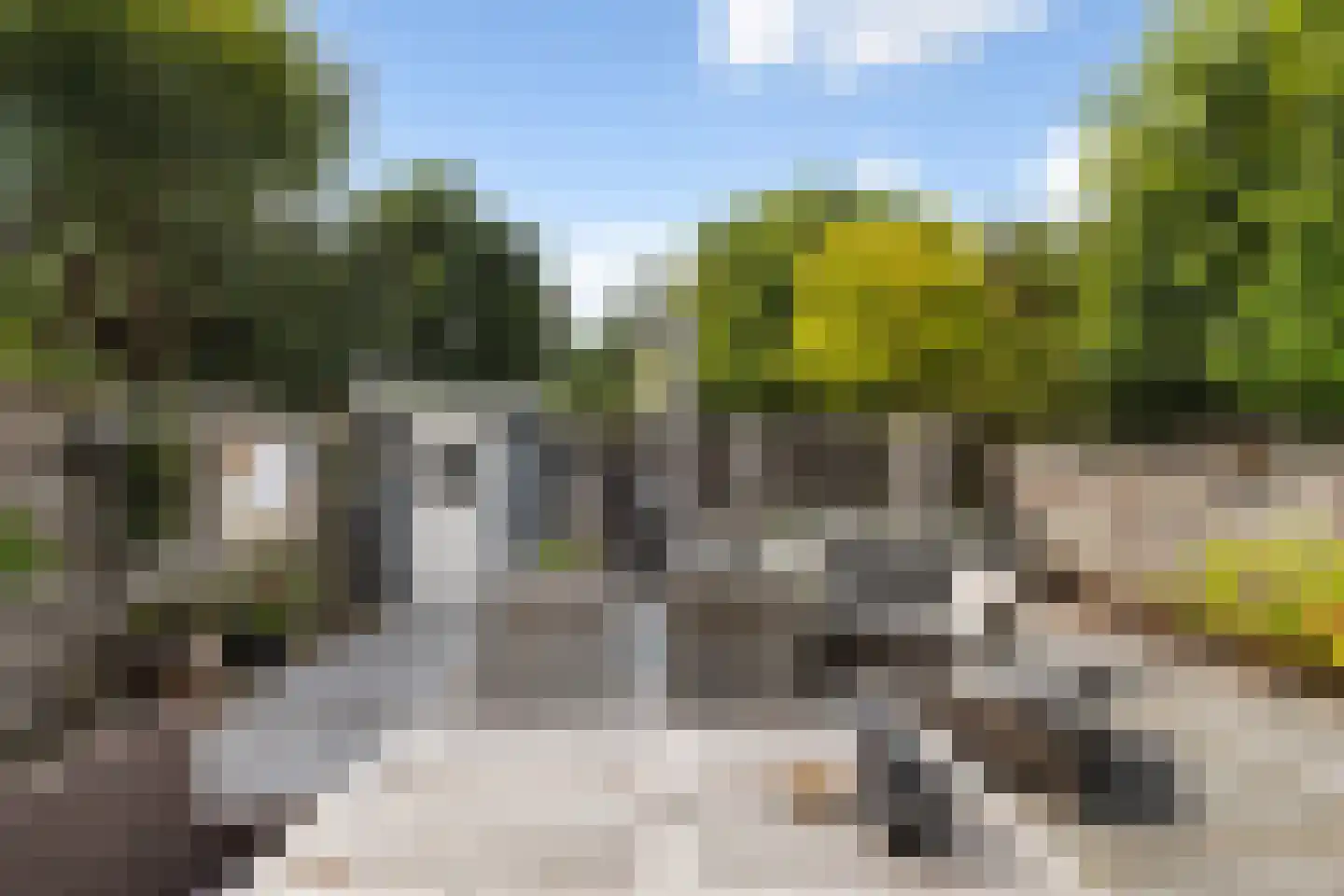 Kastanjedal 52 Maassluis thumbnail 15