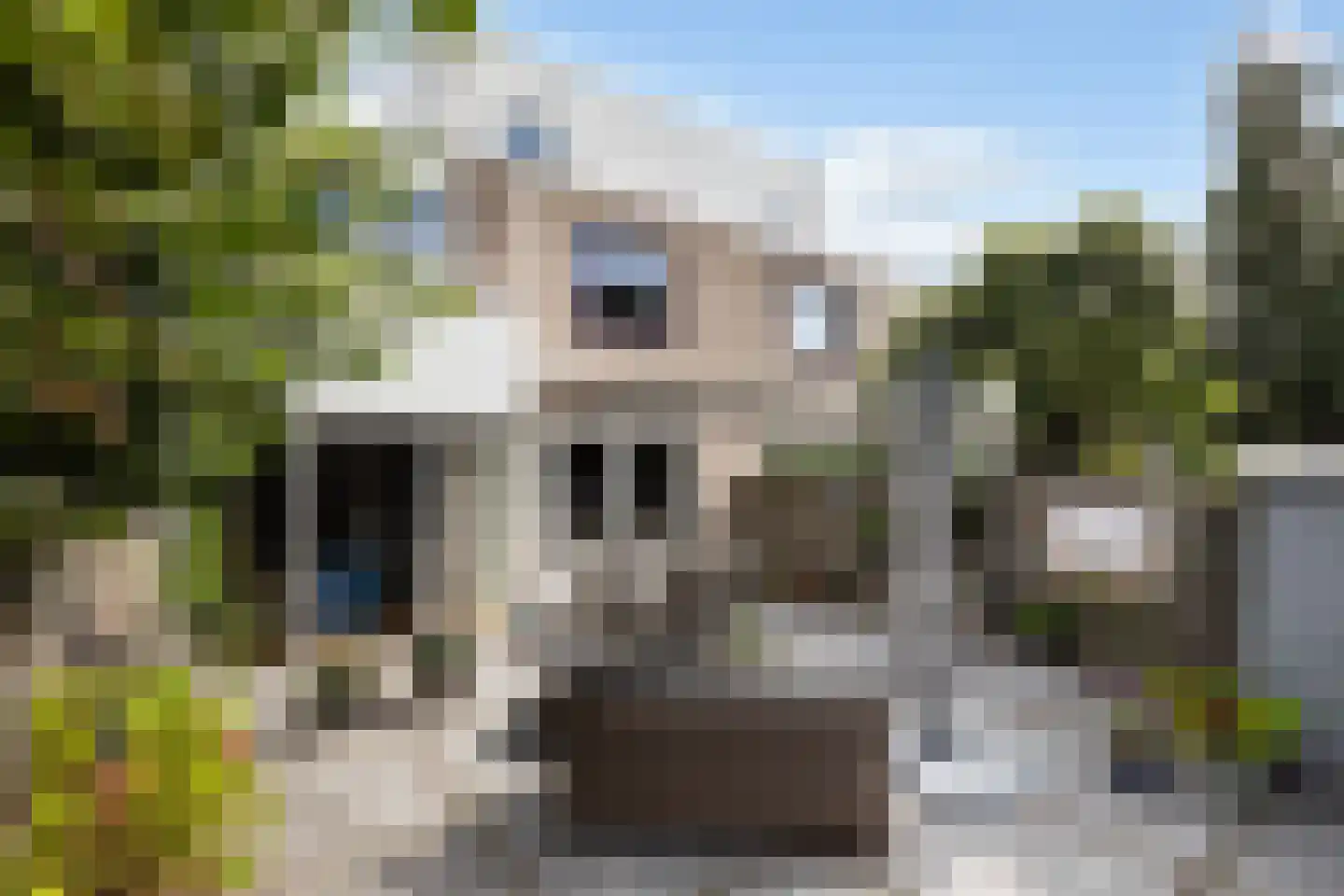 Kastanjedal 52 Maassluis thumbnail 16
