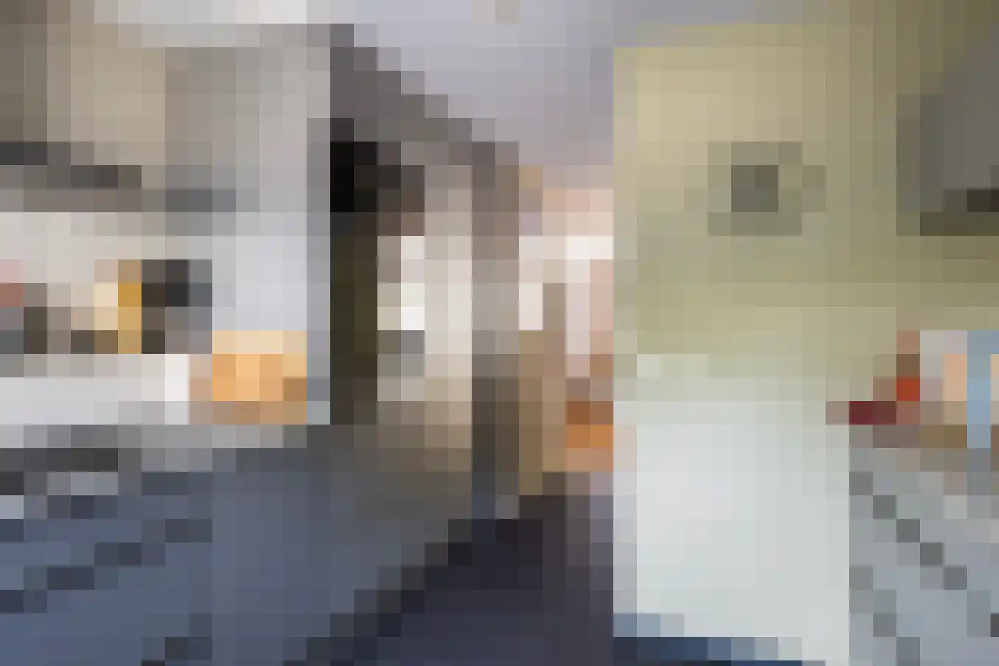 Kastanjedal 52 Maassluis thumbnail 23