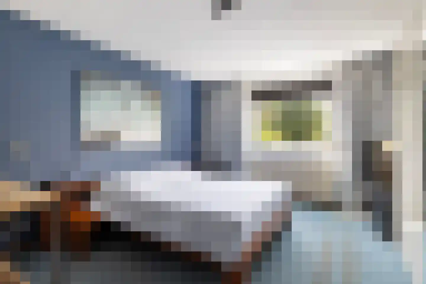 Kastanjedal 52 Maassluis thumbnail 27