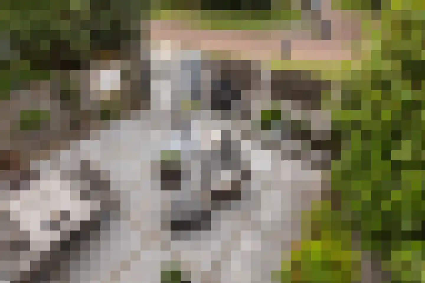 Kastanjedal 52 Maassluis thumbnail 35