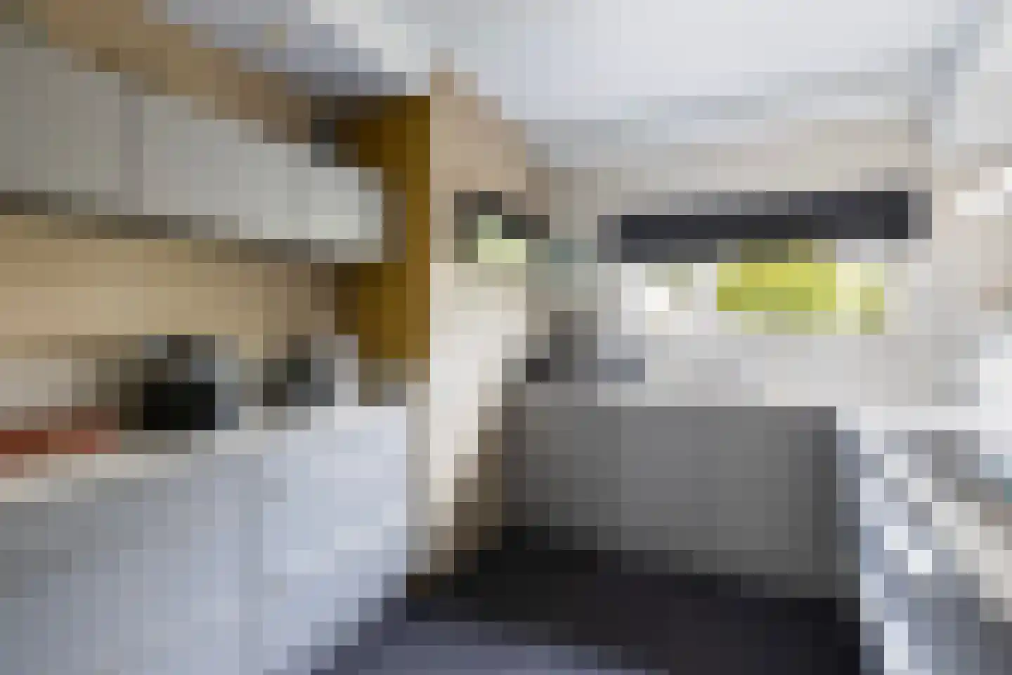 Kastanjedal 52 Maassluis thumbnail 4
