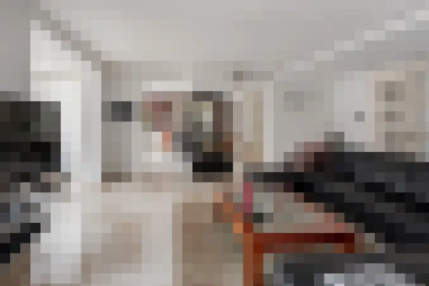 Kastanjedal 6 Maassluis thumbnail 14