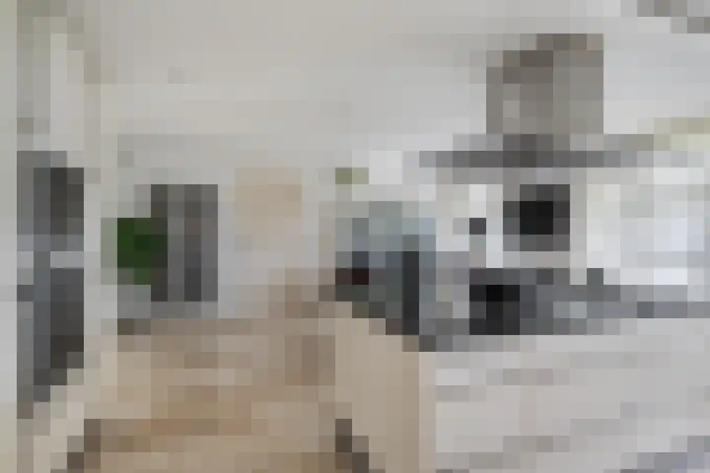 Kastanjedal 6 Maassluis thumbnail 21