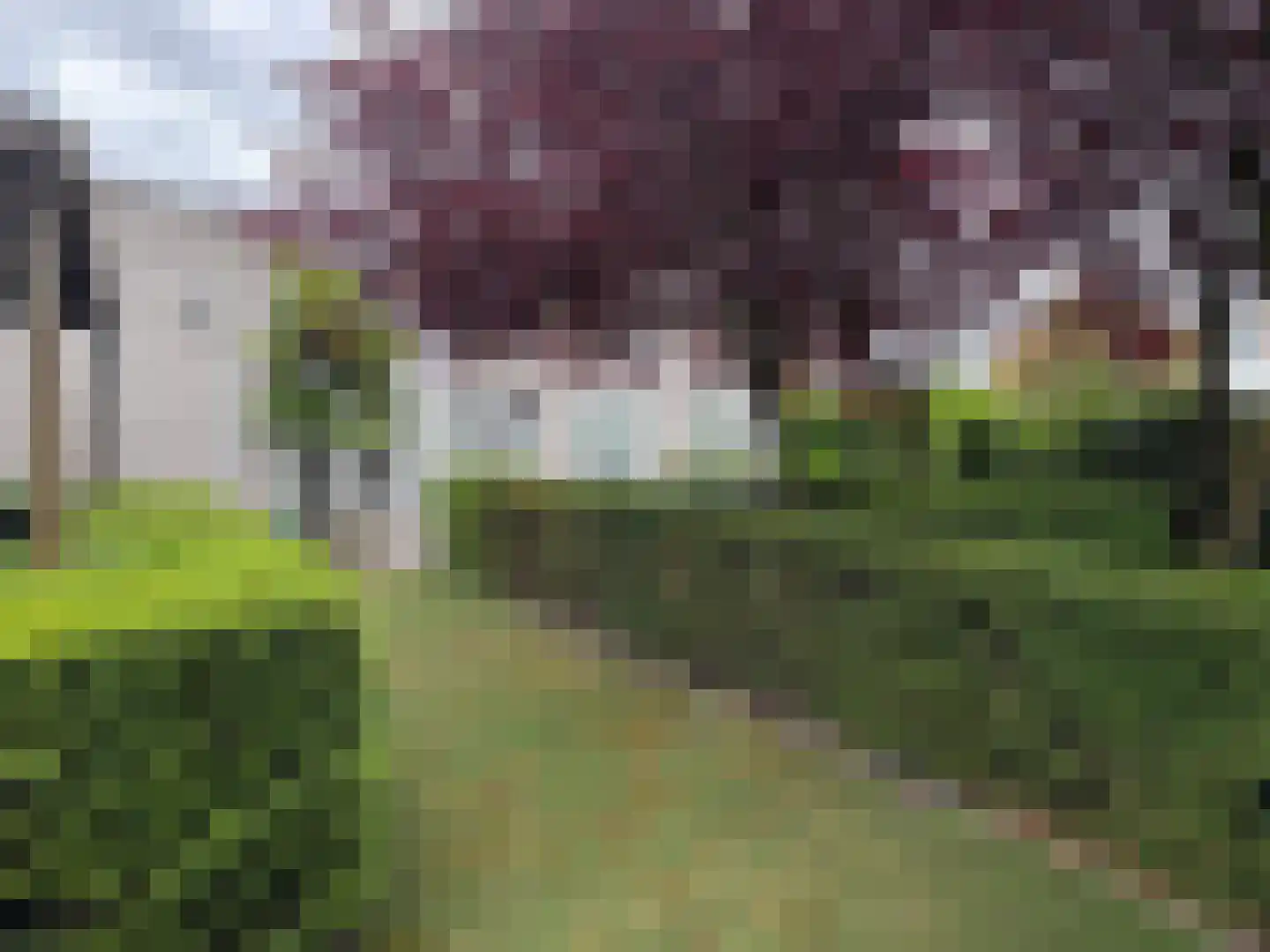Kastanjedal 6 Maassluis thumbnail 24