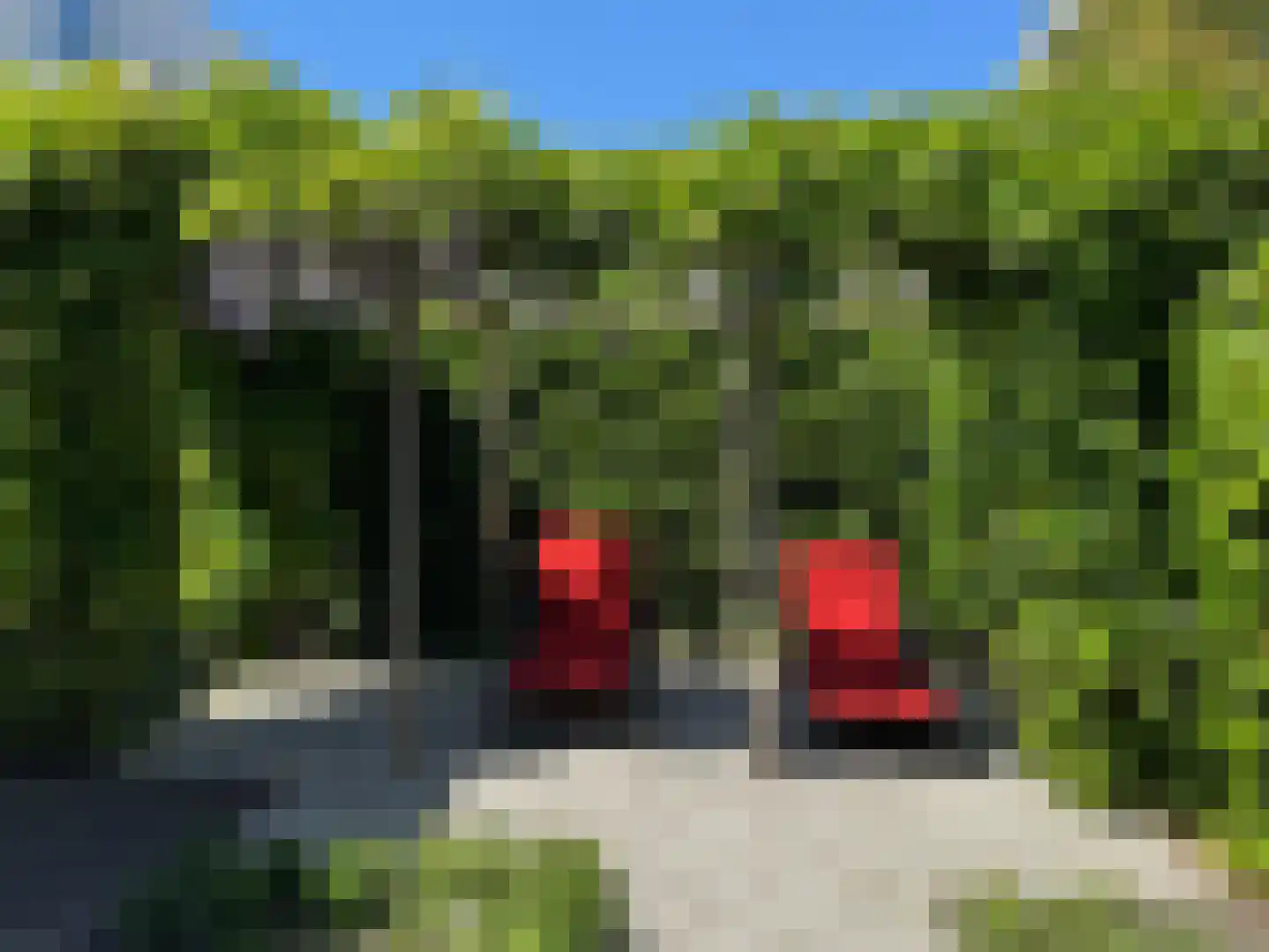 Kastanjedal 6 Maassluis thumbnail 25
