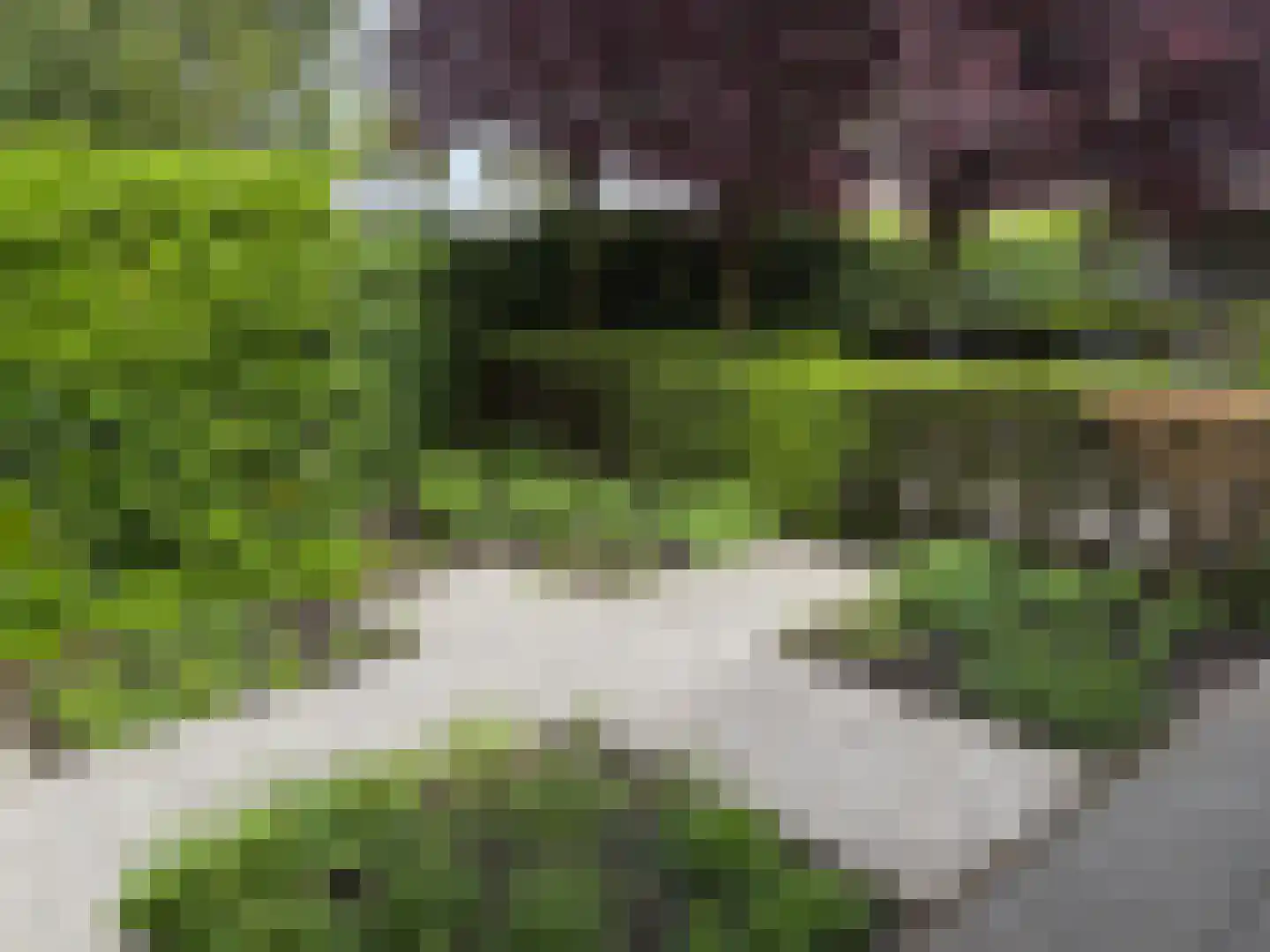 Kastanjedal 6 Maassluis thumbnail 27