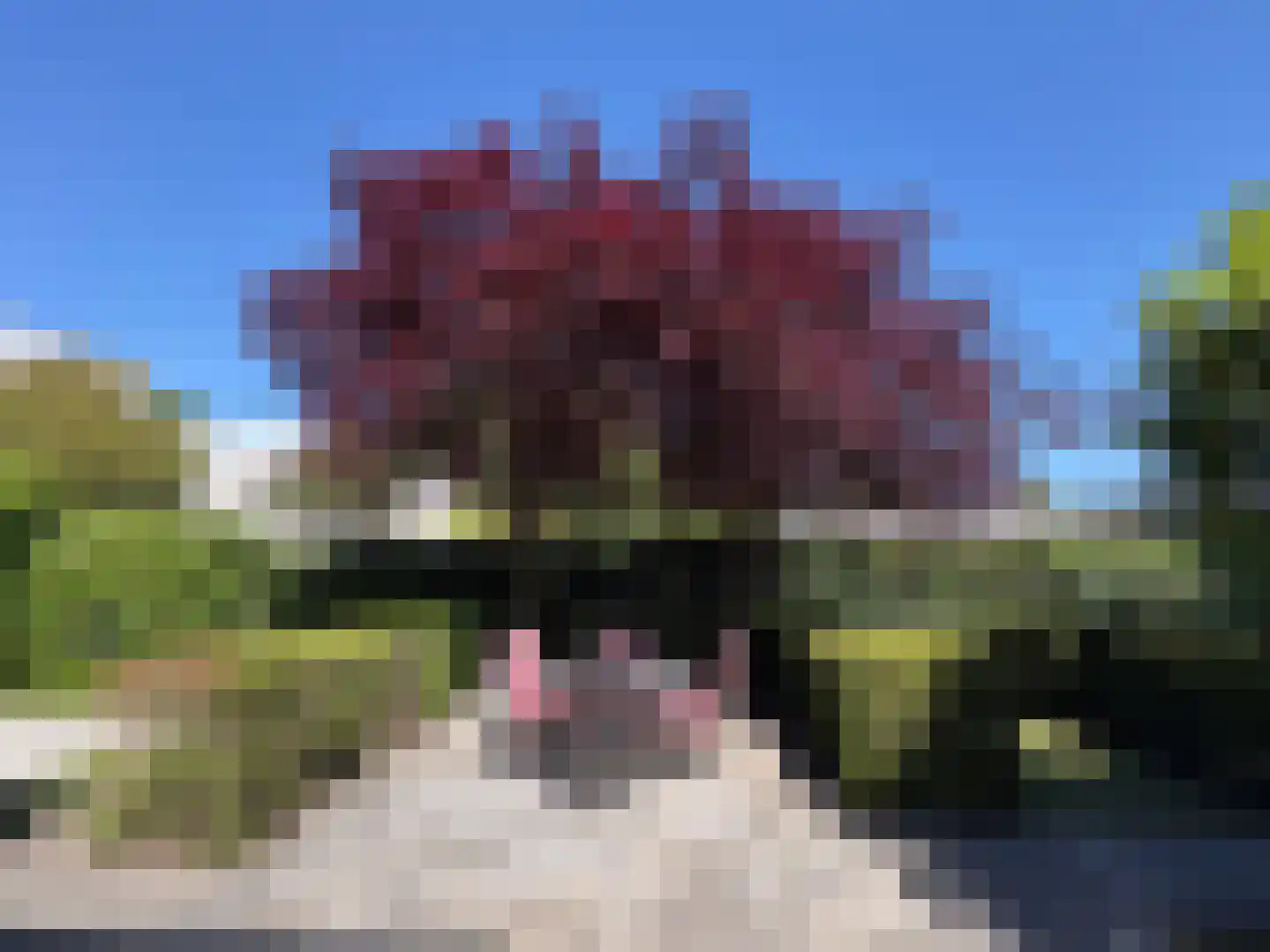 Kastanjedal 6 Maassluis thumbnail 28
