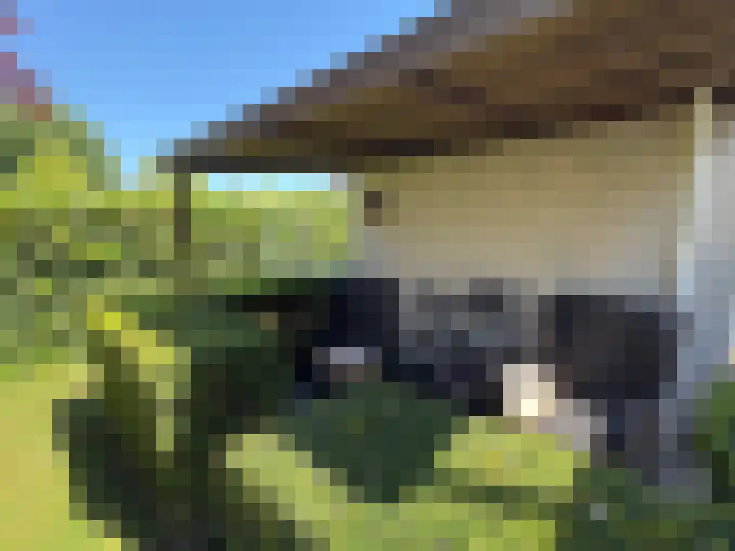 Kastanjedal 6 Maassluis thumbnail 29