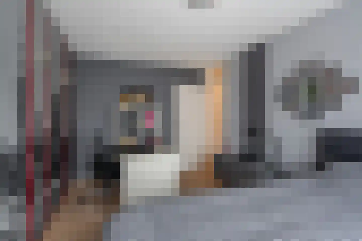Kastanjedal 6 Maassluis thumbnail 49