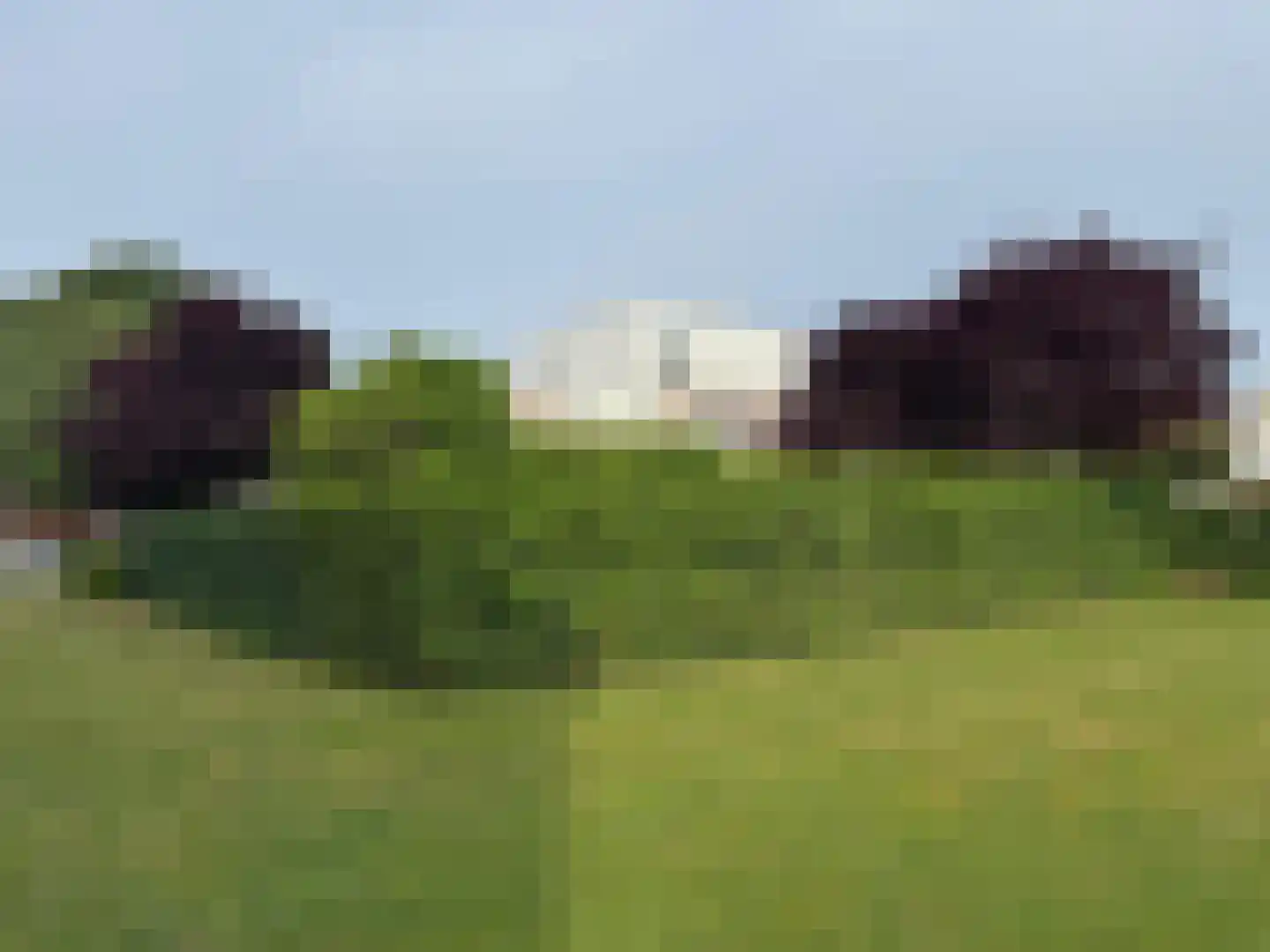 Kastanjedal 6 Maassluis thumbnail 5