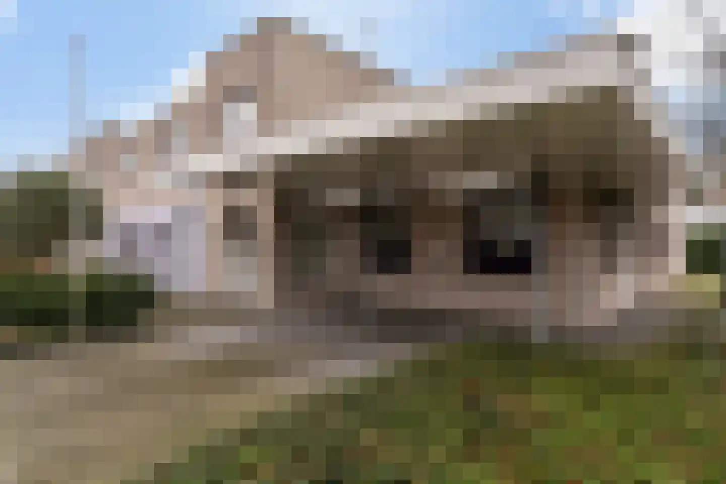 Kastanjedal 6 Maassluis thumbnail 6