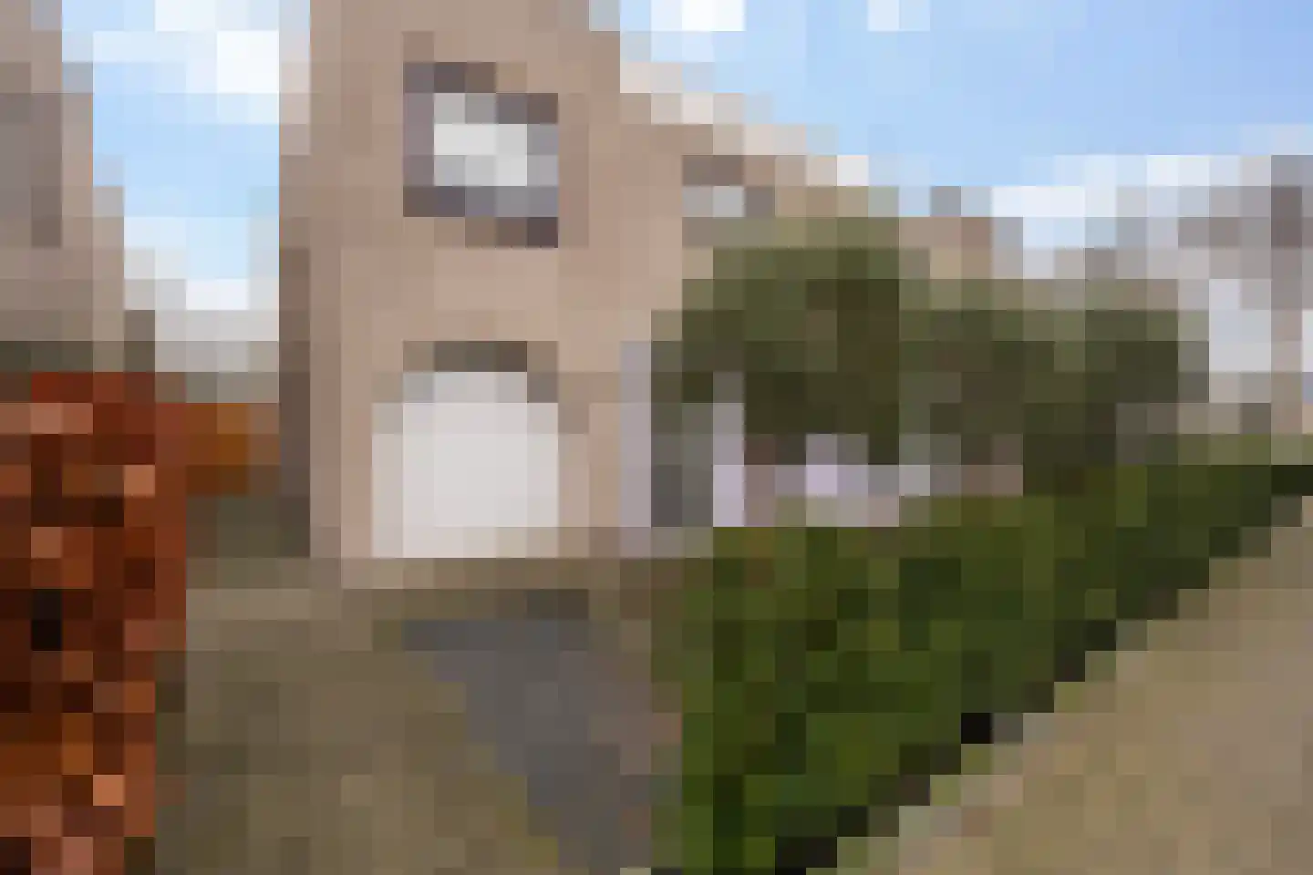 Kastanjedal 6 Maassluis thumbnail 67