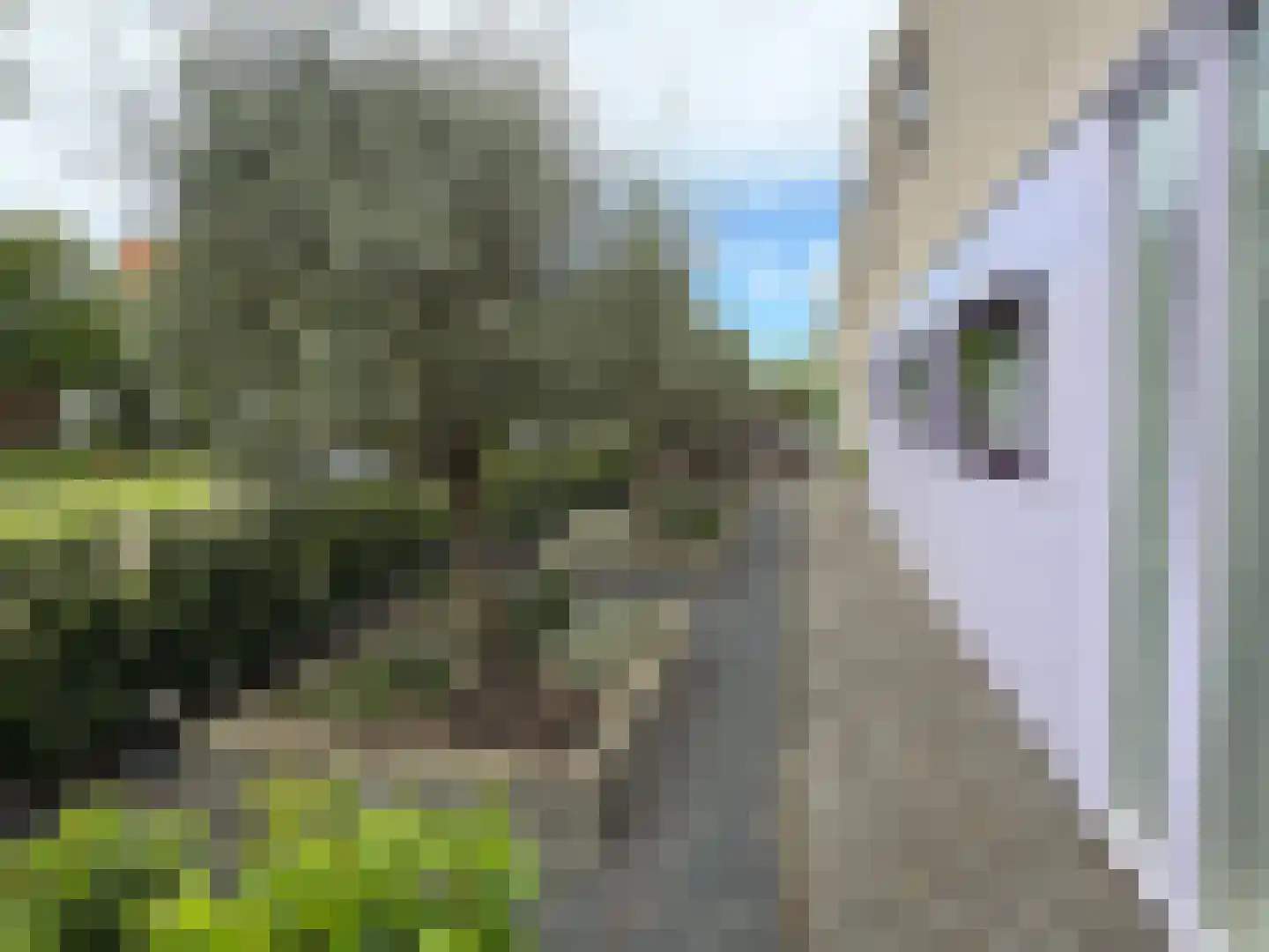 Kastanjedal 6 Maassluis thumbnail 7