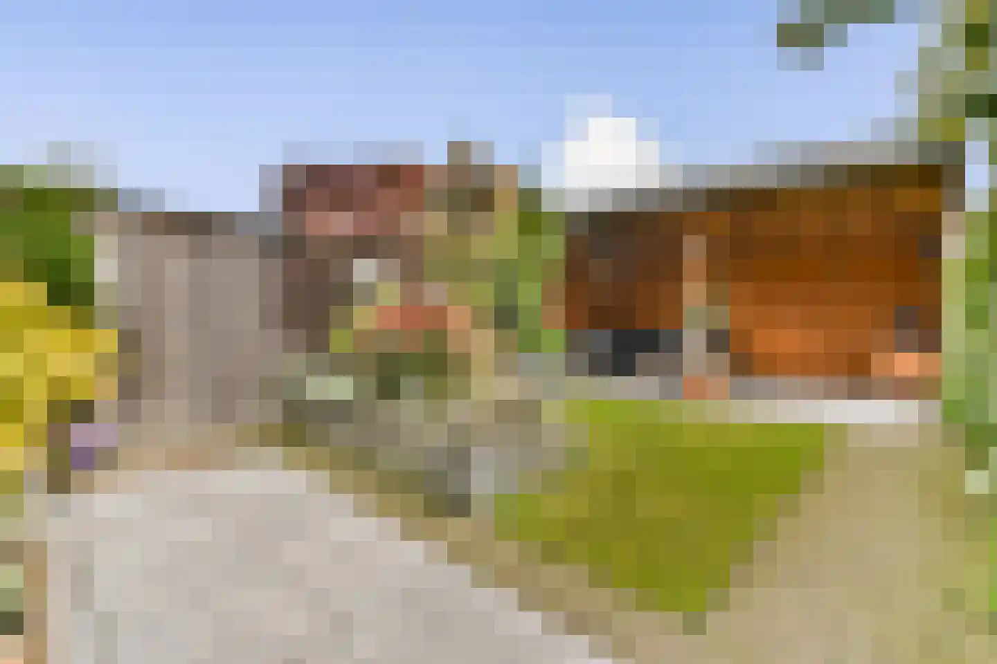 Kastanjedreef 12 Vlaardingen thumbnail 13