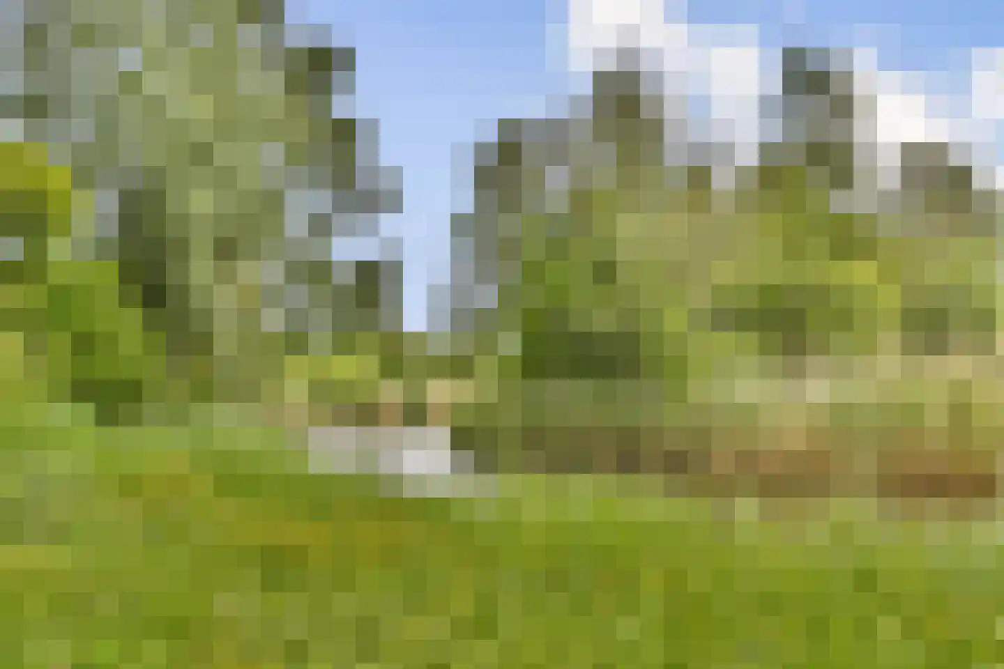 Kastanjedreef 12 Vlaardingen thumbnail 36