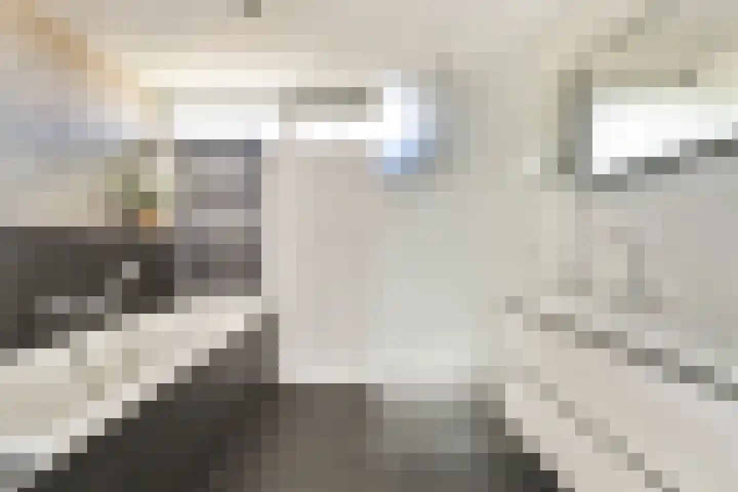 Kastanjedreef 12 Vlaardingen thumbnail 4
