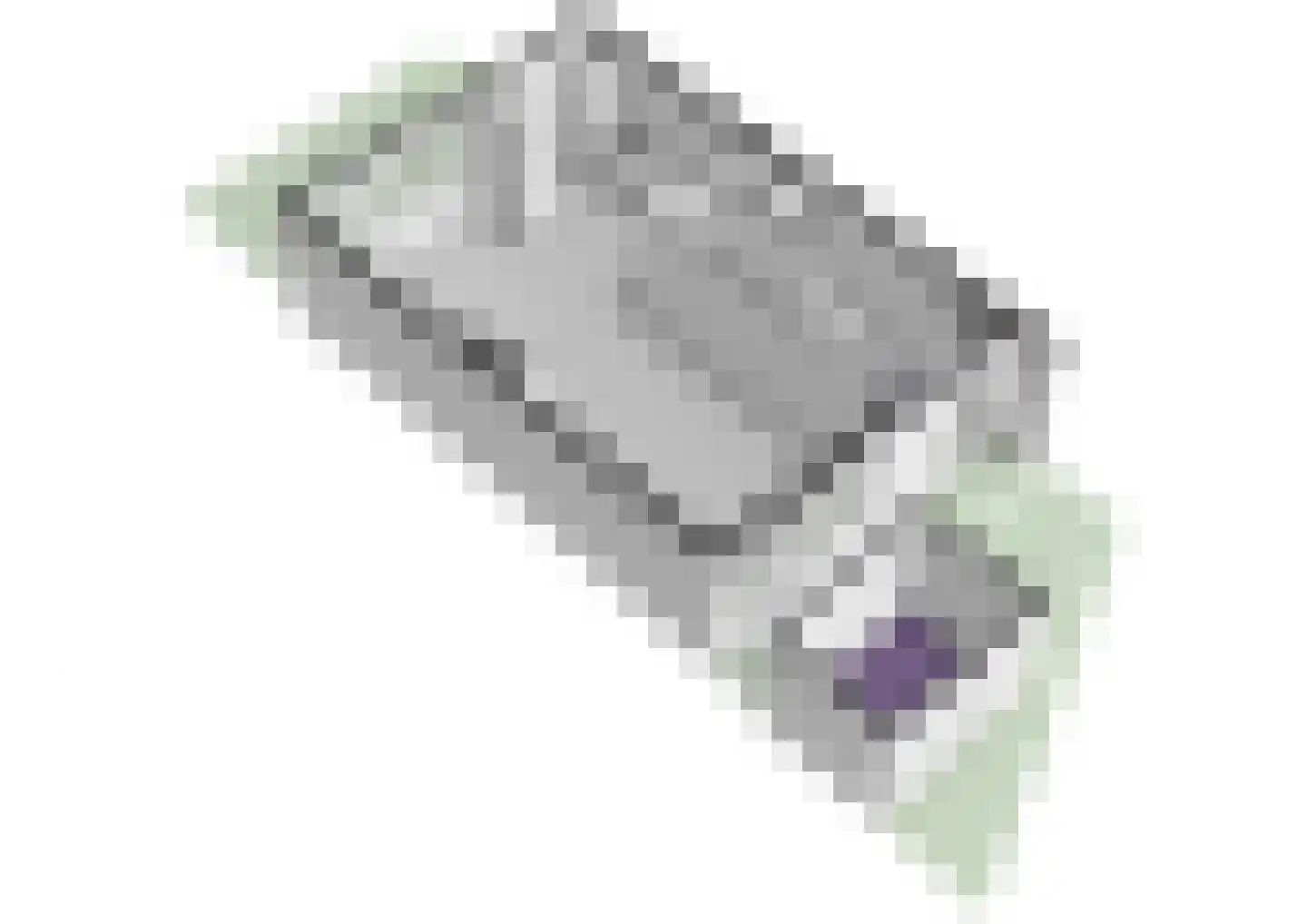 Kastanjedreef 12 Vlaardingen thumbnail 44