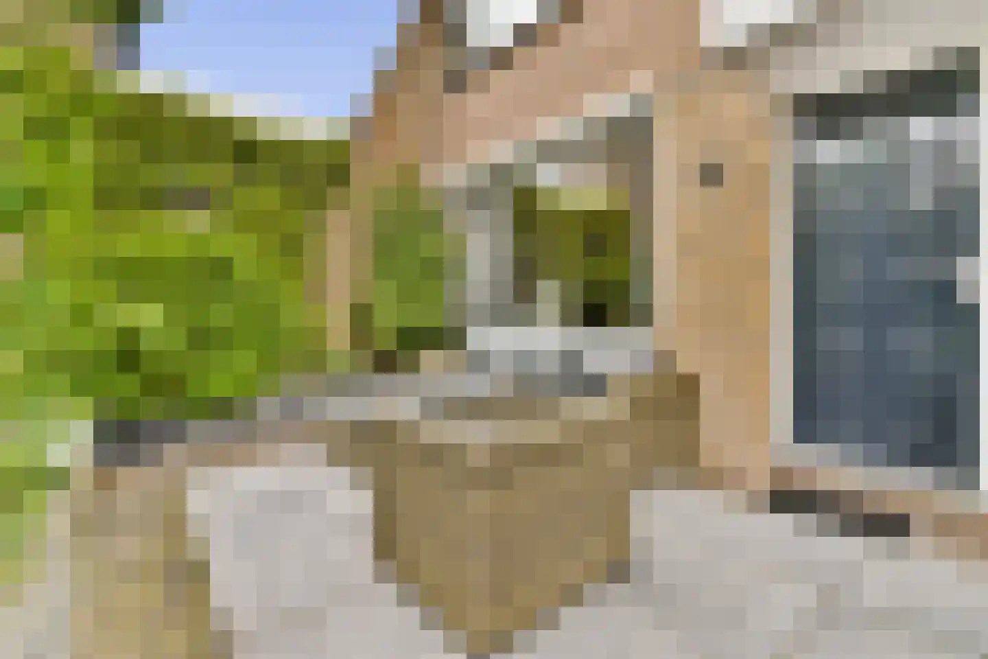 Kastanjedreef 12 Vlaardingen thumbnail 5