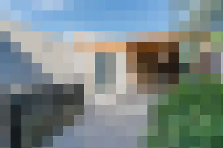 Kastanjedreef 16 Heeswijk-Dinther thumbnail 29