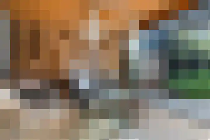 Kastanjedreef 16 Heeswijk-Dinther thumbnail 30