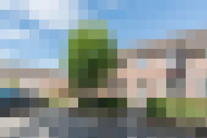 Kastanjedreef 16 Heeswijk-Dinther thumbnail 34